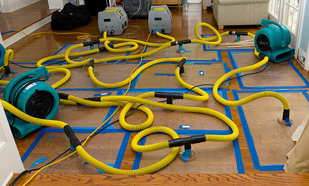 Professional Storm Water Damage Restoration technician working in Golden Valley, AZ